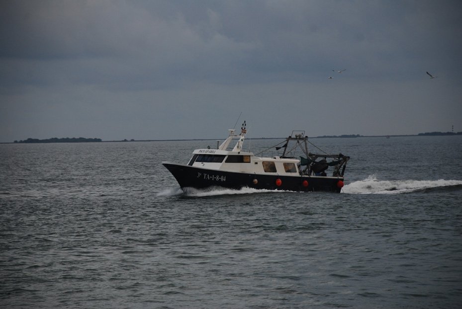 Imagen de Capitol 11 - 2016